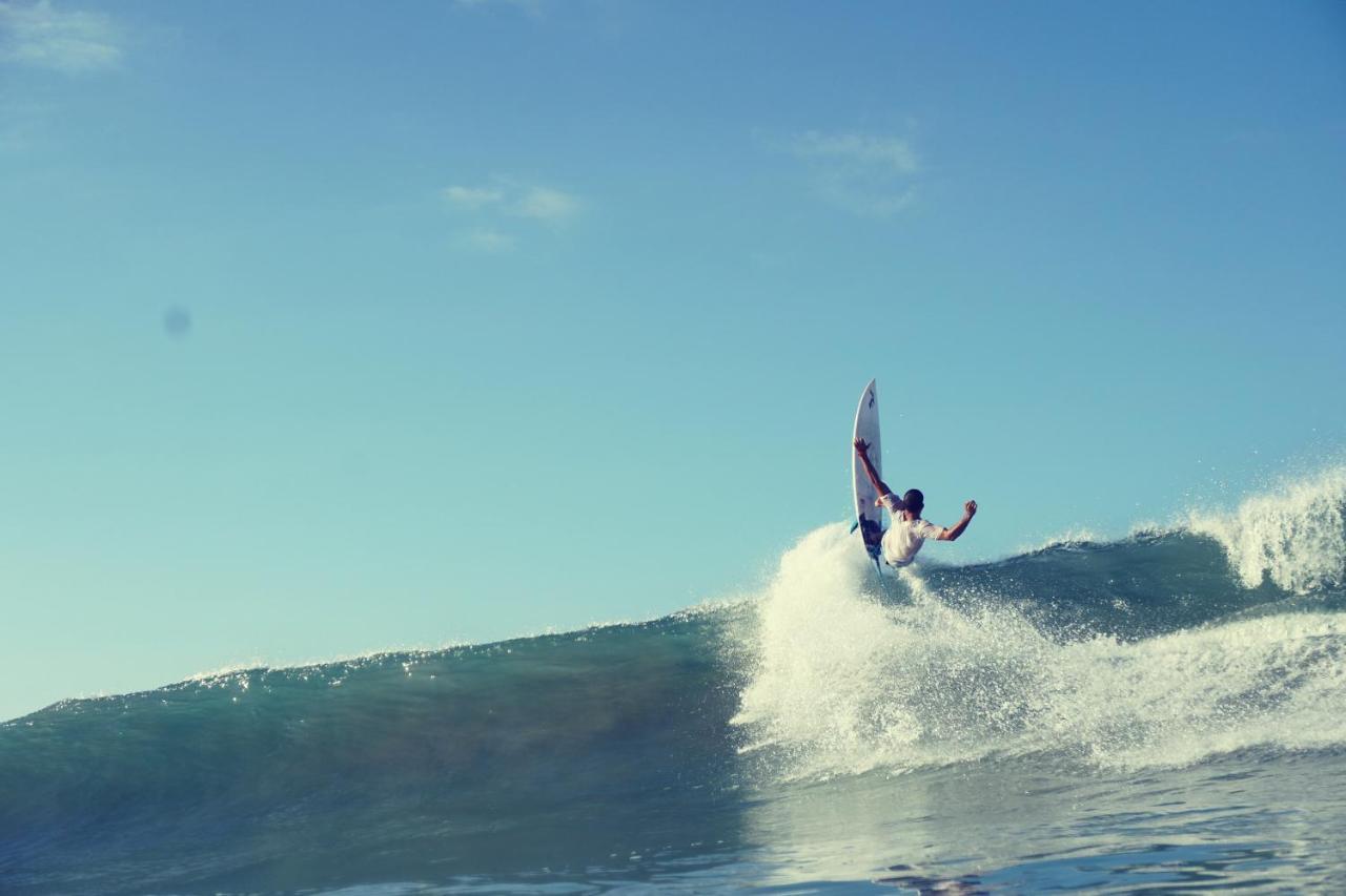 Cocobolo Surf Hotel & School Playa Santa Teresa  外观 照片