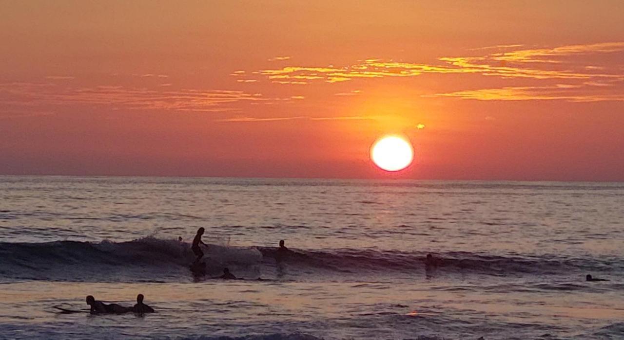 Cocobolo Surf Hotel & School Playa Santa Teresa  外观 照片