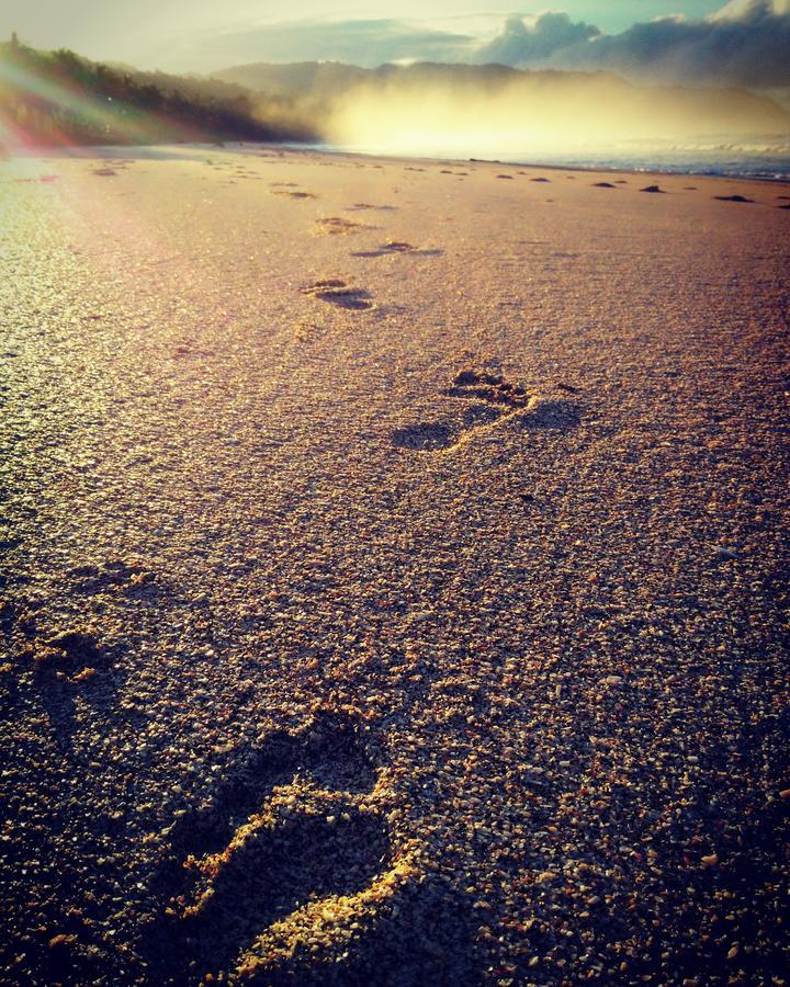 Cocobolo Surf Hotel & School Playa Santa Teresa  外观 照片