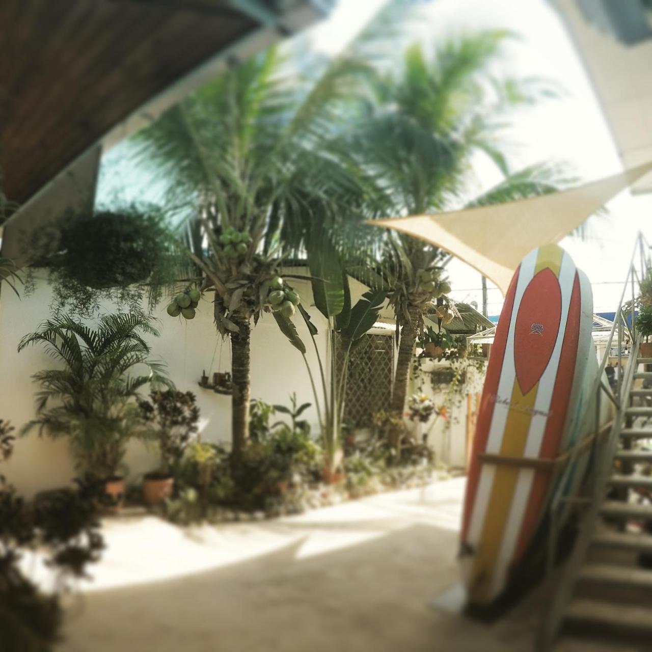 Cocobolo Surf Hotel & School Playa Santa Teresa  外观 照片