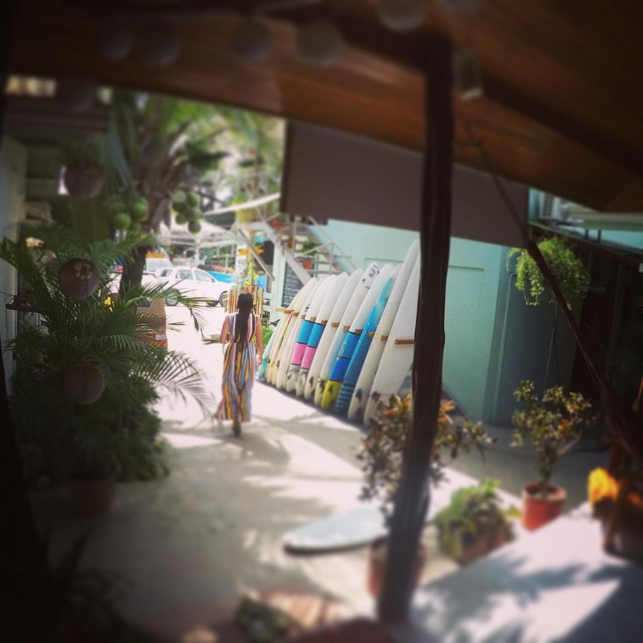 Cocobolo Surf Hotel & School Playa Santa Teresa  外观 照片