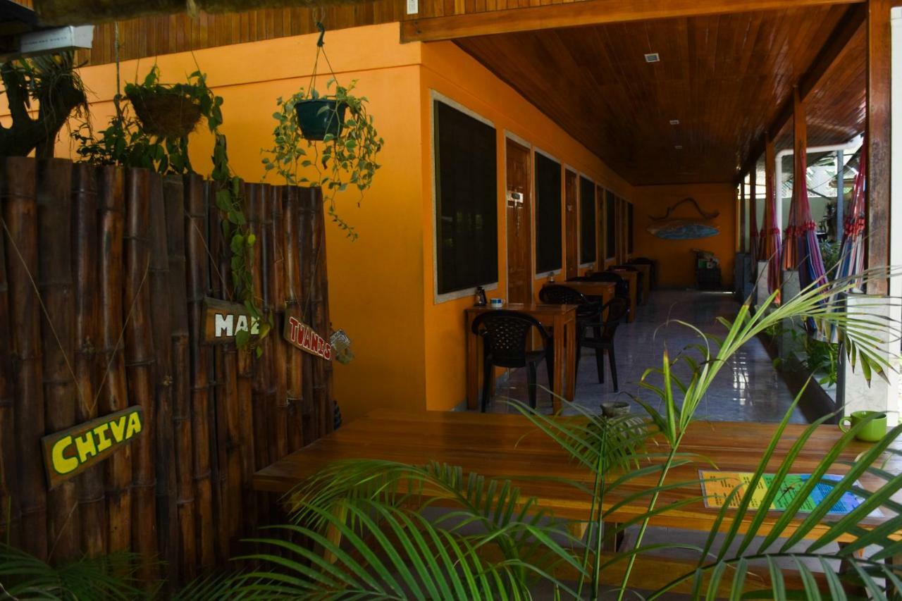 Cocobolo Surf Hotel & School Playa Santa Teresa  外观 照片